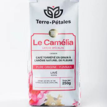 [Natural Floral Fermentation · Camellia Aroma] Specialty Roasted Coffee Beans 250g