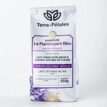 [Natural Floral Fermentation · Jacaranda Aroma] Specialty Roasted Coffee Beans 250g